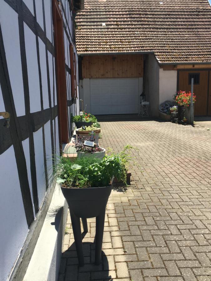 Bienvenue En Alsace Appartement Huttenheim Buitenkant foto