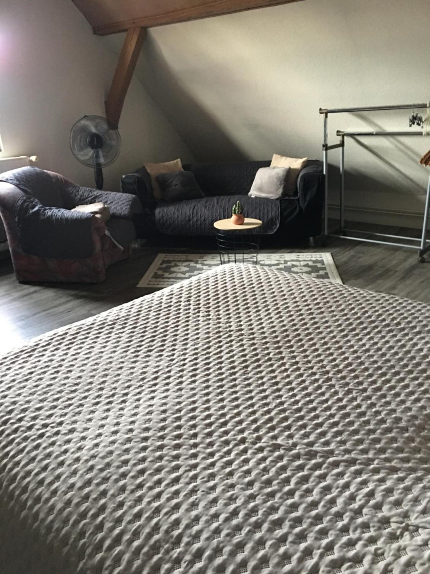 Bienvenue En Alsace Appartement Huttenheim Buitenkant foto